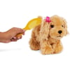 Pucci Pups-Cocker Spaniel ve Pembe Çanta