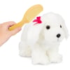 Pucci Pups-Maltese