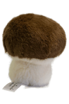 Wild&Soft-Garden Friedns-Mantar