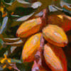 Argan Kokulu Parfüm