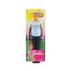 Barbie Seyahatte Ken Bebek GHR61