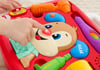 Fisher Price Köpekçik Doktorda FTC72