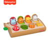 Fisher Price Sürprizli Hayvan Arkadaşlar GJW24