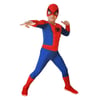 Spider-Man 4-6 Kaslı Kostüm