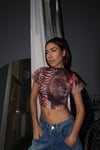 Özel Tasarım Lion Crop