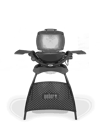 WeberWeber Q 1400 Standlı52020879