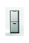 Joseph JosephJoseph Joseph 30063 Totem 40 Litre Paslanmaz Çelik Çöp Kovası30063