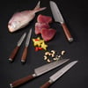 Santoku Bıçağı