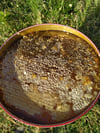 Hakkari Karakovan Petek Balı