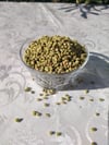 Kazdağı Kekik