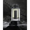 Afnan Lynked Freedom EDP 100 ml Erkek Parfüm
