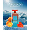 Anfar London Midnight Frost Tangerine Extrait EDP 100 ml Erkek Parfüm