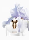 Bvlgari Splendida Patchouli Tentation EDP 100 ml Kadın Parfüm