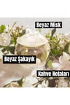 Cacharel Noa EDT 30 ml Kadın Parfüm