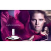 Calvin Klein Euphoria EDP 100 ml Kadın Parfüm
