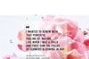 Dior Miss Dior Rose N'Roses EDT 100 ml Kadın Parfüm