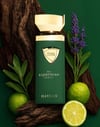 French Avenue An Equestrian Series Haydan EDP 100 ml Erkek Parfüm