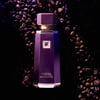 French Avenue Cocoa Morado EDP 100 ml Erkek Parfüm