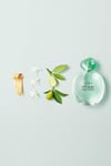 Giorgio Armani Acqua Di Gioia EDP 50 ml Kadın Parfüm