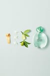 Giorgio Armani Acqua Di Gioia EDP 50 ml Kadın Parfüm