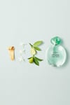 Giorgio Armani Acqua Di Gioia EDP 50 ml Kadın Parfüm