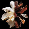 Givenchy L‘Interdit Parfum EDP 80 ml Kadın Parfüm