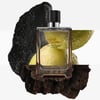Hermes Terre D‘Hermes EDP Intense 100 ml Erkek Parfüm