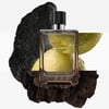 Hermes Terre D‘Hermes EDP Intense 100 ml Erkek Parfüm