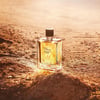 Hermes Terre D'Hermes Intense Vetiver EDP 200 ml Erkek Parfüm