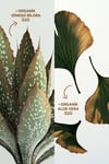 Insight Ekstra Güçlü Tutuşlu Şekillendirici Jel 200 ml
