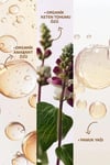 Insight Kabaran Saçlar için Nemlendirici Şampuan 350 ml