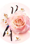 Lancome Idole Nectar EDP 50 ml Kadın Parfüm 