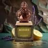 Maison Asrar Muharib EDP 100 ml Erkek Parfüm
