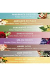 Moroccanoil Hand Cream Rich Nourishment Yumuşatıcı El Kremi 100 ml