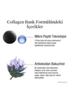Neutrogena Collagen Bank Nemlendirici Gece Kremi 50 ml