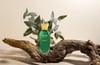 Niche Exclusive Efendy EDP 100 ML