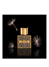 Nishane Mana Extrait De Parfum 50 ml