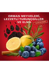 Old Spice Bearglove Erkek Deodorant Spreyi 150 ml
