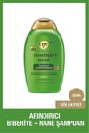 Organix Rosemary Mint (BİBERİYE & NANE IÇEREN) Arındırıcı Şampuan 385 ml