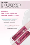 Pastel Plump Up Extra Hydrating Gloss 207 Mariposa