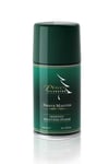 Pino Silvestre Tıraş Köpüğü 300 ml