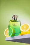 Rasasi Hawas Verde EDP 100 ml Erkek Parfüm