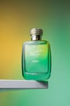 Rasasi Hawas Verde EDP 100 ml Erkek Parfüm