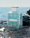Rayhaan Aquatica EDP 100 ml Erkek Parfüm