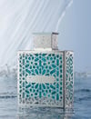 Rayhaan Aquatica EDP 100 ml Erkek Parfüm