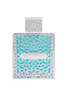 Rayhaan Aquatica EDP 100 ml Erkek Parfüm