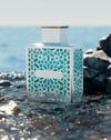 Rayhaan Aquatica EDP 100 ml Erkek Parfüm
