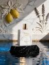 Rayhaan Italia Pour Homme EDP 100 ml Erkek Parfüm