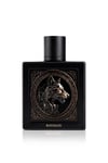Rayhaan Wolf EDP 100 ml Erkek Parfüm