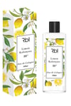 Rebul Limon Kolonyası 500 ml